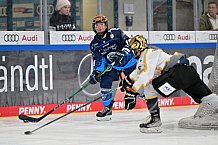 Eishockey, Frauen, DFEL, Saison 2024-2025, ERC Ingolstadt - Mad Dogs Mannheim, 23.11.2024