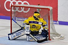 ERC Ingolstadt vs Krefeld Pinguine am 01.02.2019, Spieltag 44