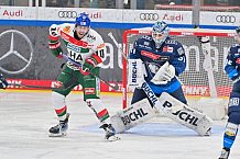 Eishockey, Herren, DEL, Saison 2024-2025, Spieltag 35, ERC Ingolstadt - Augsburger Panther, 10.01.2025