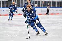Eishockey, Frauen, DFEL, Saison 2024-2025, ERC Ingolstadt - Eisbären Berlin, 15.02.2025