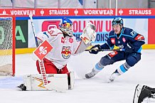 Hockey, Mens, CHL, Season 2025-2026, Regular Season, Round of 16, ERC Ingolstadt - EC Red Bull Salzburg, 12.11.2025
