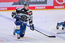 Eishockey, Herren, DEL, Saison 2024-2025, Spieltag 11, ERC Ingolstadt - Pinguins Bremerhaven, 20.10.2024