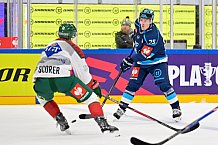 Hockey, Mens, CHL, Season 2025-2026, Quarter-Finals, ERC Ingolstadt - Frölunda Gothenburg, 02.12.2025