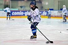 Eishockey, Frauen, DFEL, Saison 2025-2026, ERC Ingolstadt - ECDC Memmingen Indians, 25.01.2026