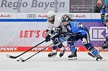 Eishockey, Frauen, DFEL, Playoffs, Saison 2023-2024, ERC Ingolstadt - Eisbären Berlin, 02.03.2024