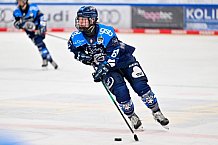 Eishockey, Frauen, DFEL, Saison 2025-2026, Testspiel, ERC Ingolstadt - HC Davos, 14.02.2026