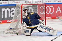 Eishockey, Frauen, DFEL, Saison 2022-2023, ERC Ingolstadt - EC Bergkamener Bären, 18.02.2023