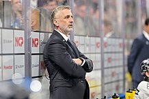 Eishockey, Herren, DEL, Saison 2024-2025, Spieltag 16, Nürnberg Ice Tigers - ERC Ingolstadt, 15.11.2024