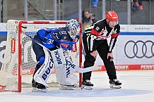Eishockey, Herren, DEL, Saison 2026-2027, Spieltag 8, ERC Ingolstadt - Löwen Frankfurt, 11.10.2026