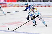 Eishockey, Herren, DEL, Saison 2025-2026, Spiel 23, ERC Ingolstadt - Dresdner Eislöwen, 28.11.2025