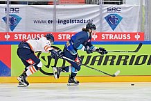 Eishockey, Mens, CHL, Season 2023-2024, ERC Ingolstadt - Växjö Lakers, 14.11.2023