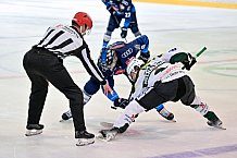 Eishockey, Herren, DEL, Saison 2024-2025, EHC Olten - ERC Ingolstadt, 25.08.2024