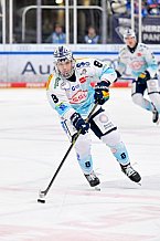 Eishockey, Herren, DEL, Saison 2025-2026, Spiel 44, ERC Ingolstadt - Dresdner Eislöwen, 27.01.2026