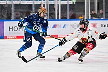 Eishockey, Frauen, DFEL, Saison 2024-2025, ERC Ingolstadt - EC Bergkamener Bären, 05.01.2025