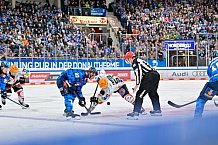 Eishockey, Herren, DEL, Saison 2025-2026, Spiel 21, ERC Ingolstadt - Pinguins Bremerhaven, 23.11.2025