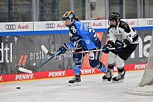 Eishockey, Frauen, DFEL, Saison 2023-2024, ERC Ingolstadt - Amsterdam Tigers, 06.01.2024