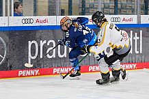 Eishockey, Frauen, DFEL, Saison 2024-2025, ERC Ingolstadt - Mad Dogs Mannheim, 23.11.2024