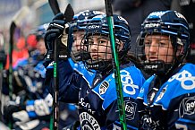 Eishockey, Frauen, DFEL, Saison 2025-2026, ERC Ingolstadt - Eisbären Berlin, 18.01.2026
