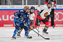 Eishockey, Frauen, DFEL, Saison 2024-2025, ERC Ingolstadt - EC Bergkamener Bären, 05.01.2025