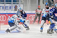 Eishockey, Herren, DEL, Saison 2024-2025, Vorbereitung, ERC Ingolstadt - Dresdner Eislöwen, 18.08.2024