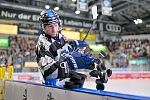 Eishockey, Herren, DEL, Saison 2024-2025, Spieltag 49, ERC Ingolstadt - Straubing Tigers, 28.02.2025