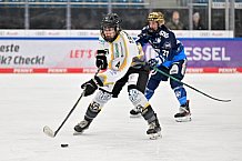 Eishockey, Frauen, DFEL, Saison 2024-2025, ERC Ingolstadt - Mad Dogs Mannheim, 23.11.2024