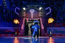 Eishockey, Herren, DEL, Saison 2025-2026, Spiel 16, ERC Ingolstadt - Kölner Haie, 31.10.2025