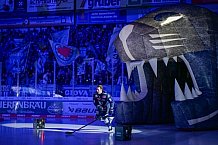 Eishockey, Herren, DEL, Saison 2024-2025, Spieltag 49, ERC Ingolstadt - Straubing Tigers, 28.02.2025