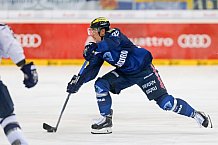 ERC Ingolstadt vs Hamburg Freezers, Eishockey, DEL, Deutsche Eishockey Liga, Spieltag 36, 10.01.2016, Foto: st-foto.de / Oliver STRISCH

