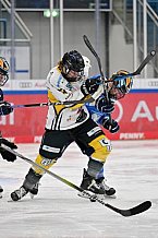 Eishockey, Frauen, DFEL, Saison 2023-2024, ERC Ingolstadt - Mad Dogs Mannheim, 18.02.2024