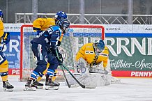 Eishockey, Frauen, DFEL, Saison 2025-2026, Testspiel, ERC Ingolstadt - HC Davos, 14.02.2026