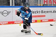 Eishockey, Herren, DEL, Saison 2022-2023, ERC Ingolstadt - Kids On Ice Day, 14.01.2023