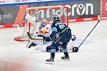 Eishockey, Herren, DEL, Saison 2022-2023, Playoff-Finale - Spiel 4, ERC Ingolstadt - EHC Red Bull München, 21.04.2023