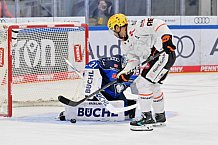 Eishockey, Herren, DEL, Saison 2026-2027, Spieltag 8, ERC Ingolstadt - Löwen Frankfurt, 11.10.2026