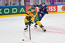 Hockey, Mens, CHL, Season 2025-2026, Regular Season, Game Day 1, ERC Ingolstadt - Ilves Tampere, 28.08.2025