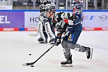 Eishockey, Herren, DEL, Saison 2023-2024, Spieltag 51, ERC Ingolstadt - Kölner Haie, 03.03.2024
