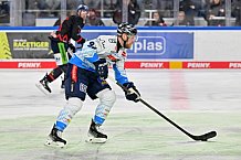 Eishockey, Herren, DEL, Saison 2024-2025, Spieltag 39, Straubing Tigers - ERC Ingolstadt, 24.01.2025