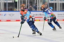 Eishockey, Frauen, DFEL, Saison 2024-2025, ERC Ingolstadt - EC Bergkamener Bären, 04.01.2025