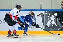 Eishockey, Frauen, DFEL, Saison 2024-2025, ERC Ingolstadt - HK Budapest Roster, 12.01.2025