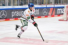 Eishockey, Herren, DEL, Saison 2025-2026, Spiel 51, ERC Ingolstadt - Augsburger Panther, 13.03.2026