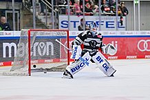 Eishockey, Herren, DEL, Saison 2023-2024, Spieltag 33, ERC Ingolstadt - Eisbären Berlin, 30.12.2023