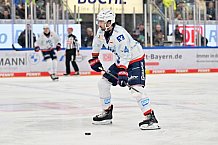 Eishockey, Herren, DEL, Saison 2024-2025, Spieltag 17, ERC Ingolstadt - Adler Mannheim, 17.11.2024