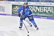 ERC Ingolstadt vs Schwenninger Wild Wings, Eishockey, DEL, Deutsche Eishockey Liga, Spieltag 25, 26.11.2017