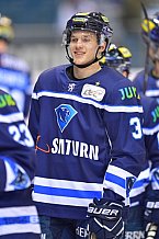ERC Ingolstadt vs Schwenninger Wild Wings, DEL, Deutsche Eishockey Liga, Spieltag 48, 19.02.2019