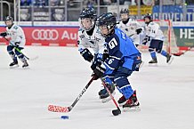 Eishockey, Herren, DEL, Saison 2024-2025, Spieltag 26, ERC Ingolstadt - Iserlohn Roosters, 15.12.2024