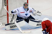 ERC Ingolstadt vs Hamburg Freezers, Eishockey, DEL, Deutsche Eishockey Liga, Spieltag 43, 05.02.2016, Foto: st.foto.de / Oliver STRISCH