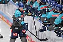 Eishockey, Herren, DEL, Saison 2026-2027, Spieltag 4, ERC Ingolstadt - Adler Mannheim, 27.09.2026