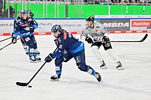 Eishockey, Herren, DEL, Saison 2024-2025, Spieltag 36, ERC Ingolstadt - Kölner Haie, 12.01.2025