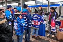 Eishockey, Herren, DEL, Saison 2025-2026, Spiel 24, Nürnberg Ice Tigers - ERC Ingolstadt, 30.11.2025