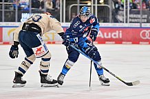 Eishockey, Herren, DEL, Saison 2024-2025, Spieltag 28, ERC Ingolstadt - Schwenninger Wild Wings, 20.12.2024